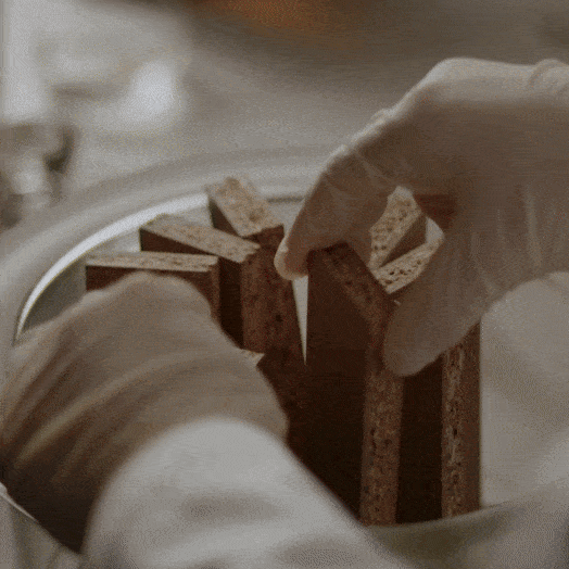 fedfc6d943c465efe556a0a1c4f76bff_1736824755_9448.gif